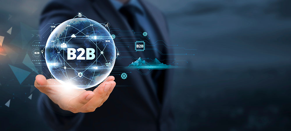 asesoría B2B